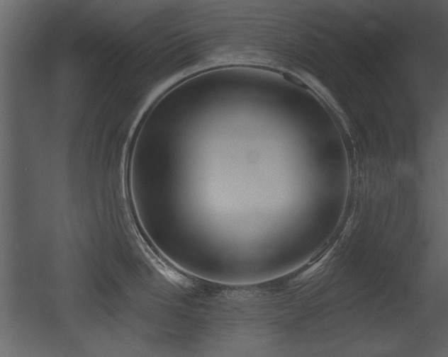 X0000052981246200507081114