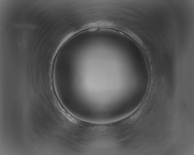 X0000052981248200507081114