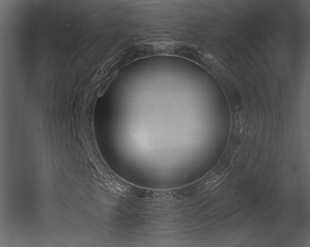 X0000052981249200507081113