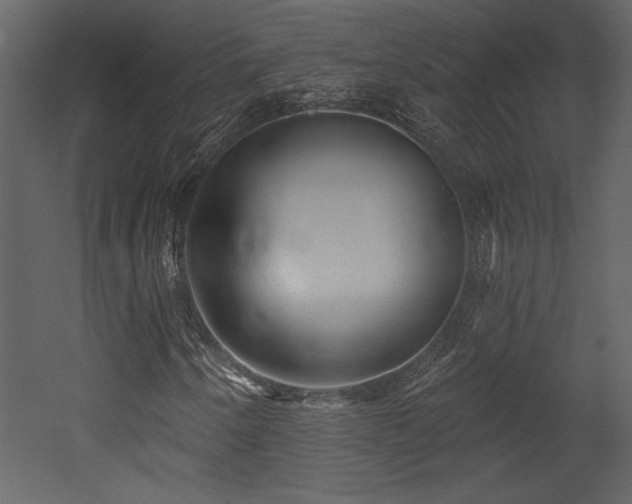 X0000052981250200507081113