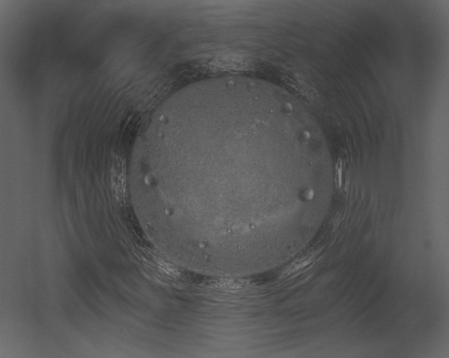 X0000052981251200507081113