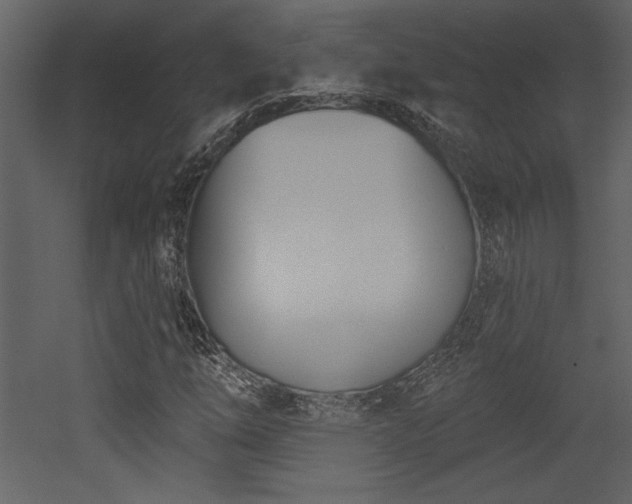 X0000052981254200507081113