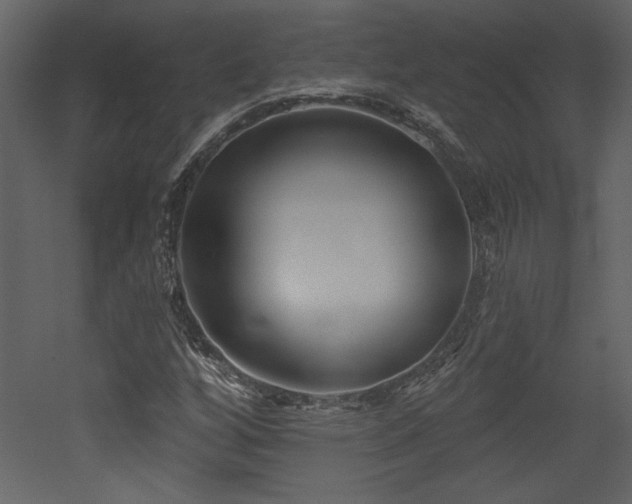 X0000052981256200507081113