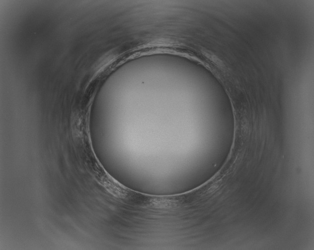 X0000052981258200507081113