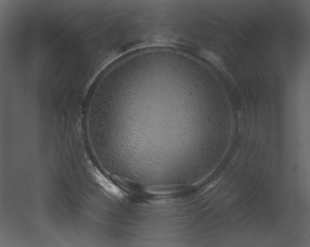 X0000052981260200507081113