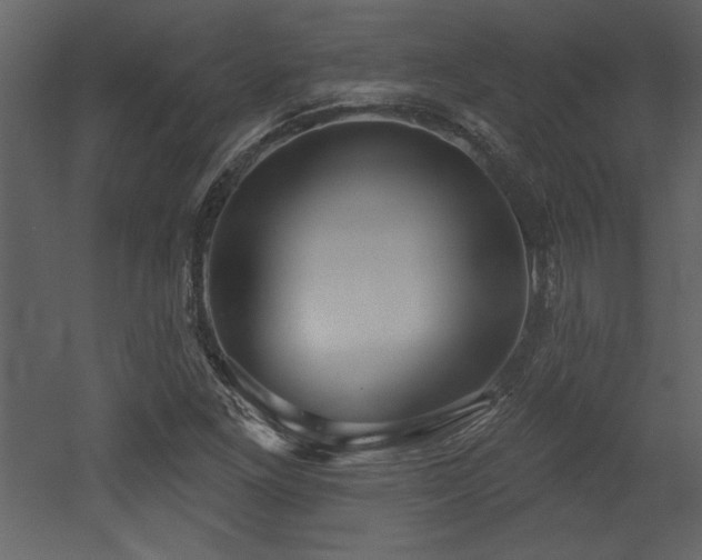 X0000052981261200507081113