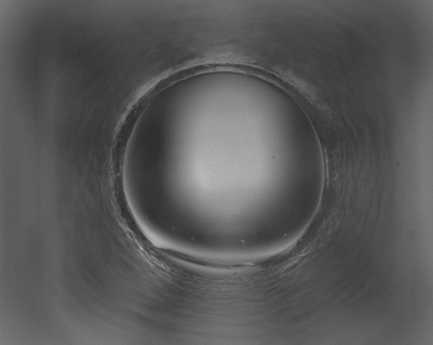 X0000052981264200507081113