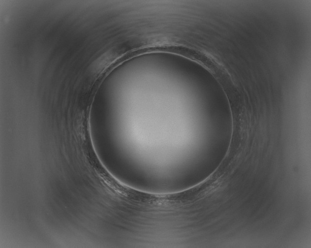 X0000052981265200507081113