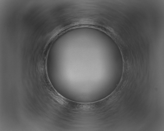 X0000052981266200507081113