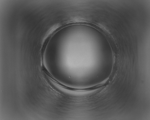 X0000052981269200507081113