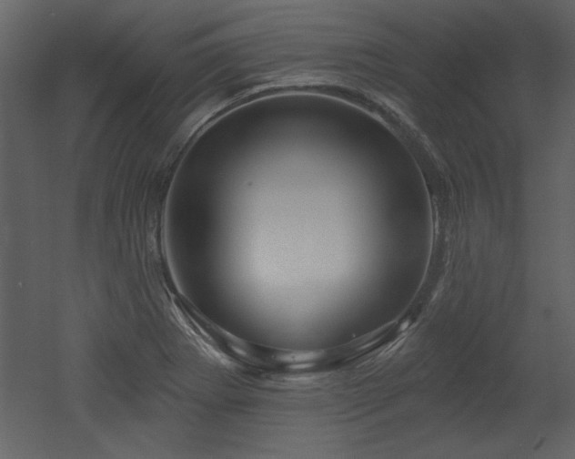 X0000052981273200507081113