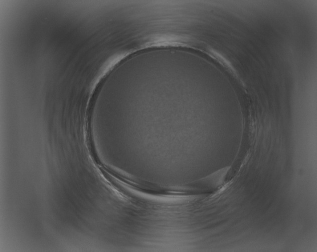 X0000052981277200507081113