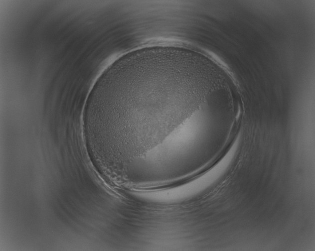 X0000052981283200507081113