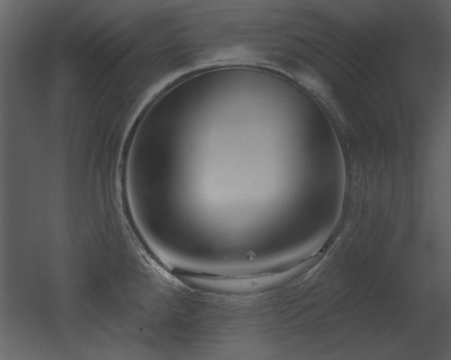 X0000052981288200507081113