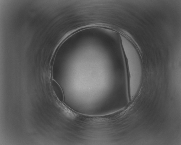 X0000052981292200507081113