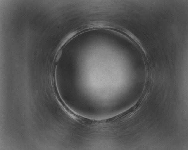 X0000052981293200507081113