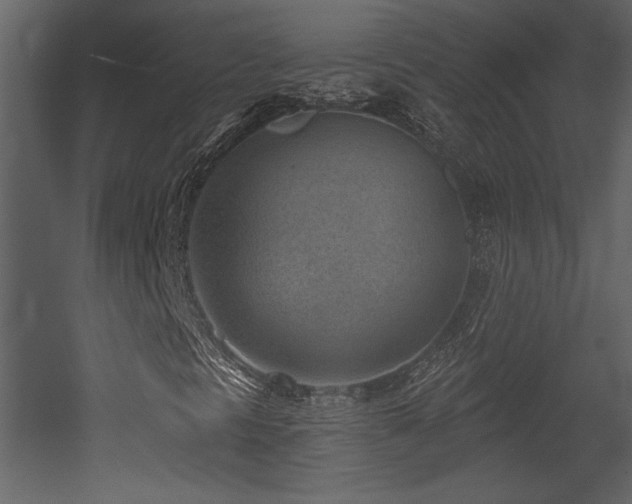 X0000052981297200507081112