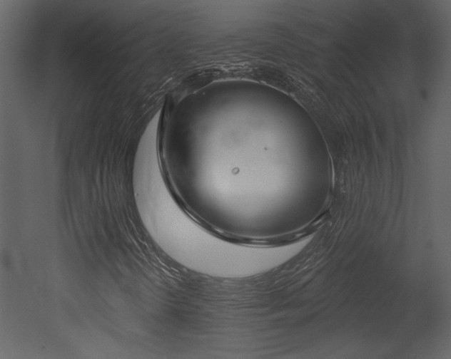 X0000052981298200507081112