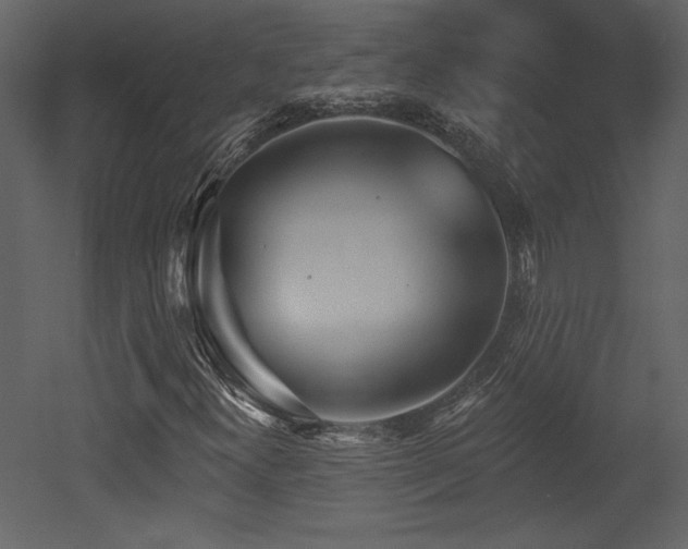 X0000052981300200507081112