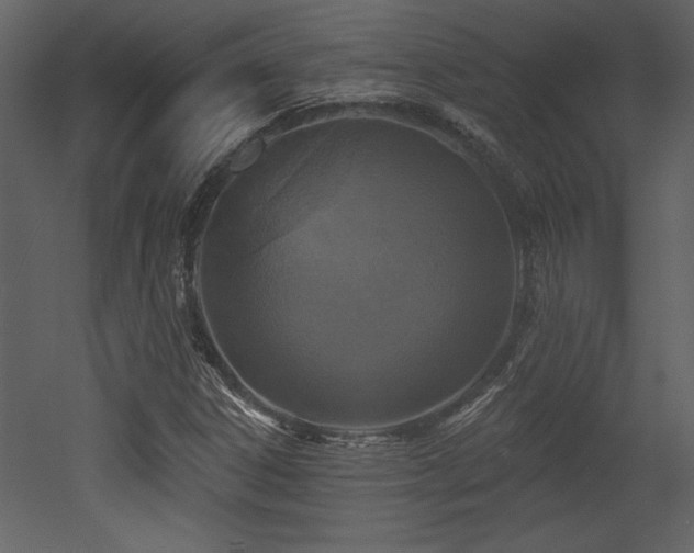 X0000052981306200507081112