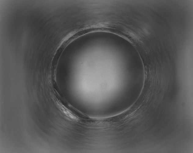 X0000052981308200507081112
