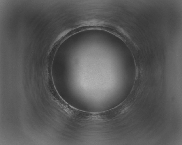 X0000052981315200507081112