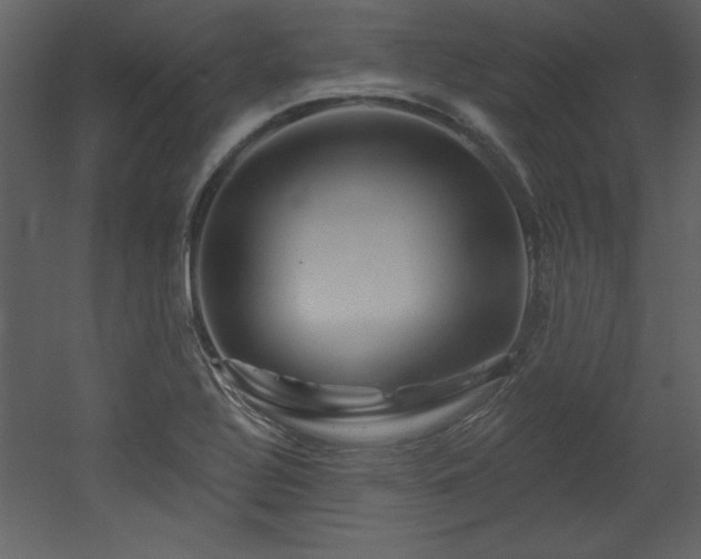X0000052981320200507081112