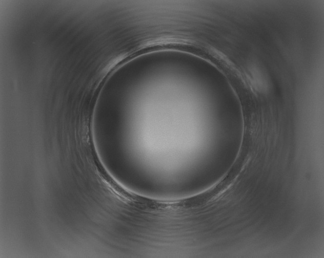 X0000052981321200507081112