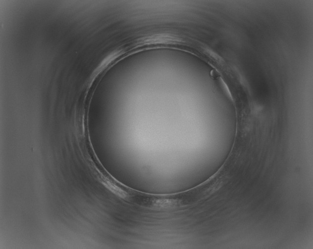X0000052981322200507081112