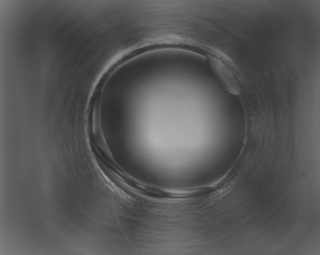 X0000052981326200507081112