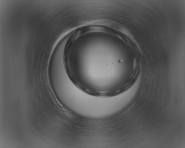 X0000052981328200507081112