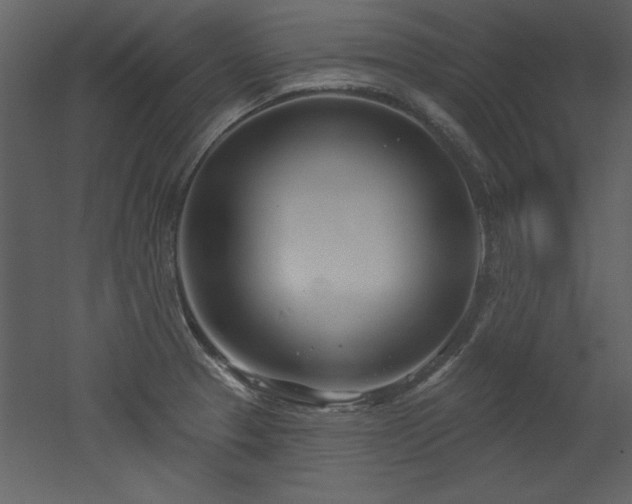 X0000052981329200507081112