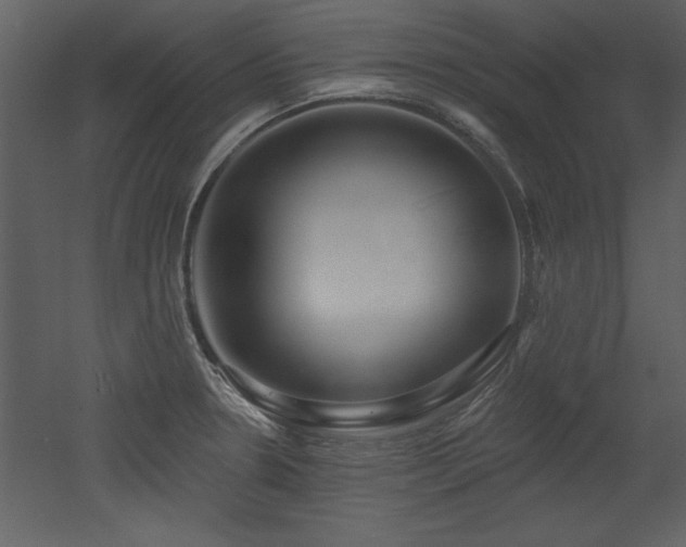 X0000052981330200507081112