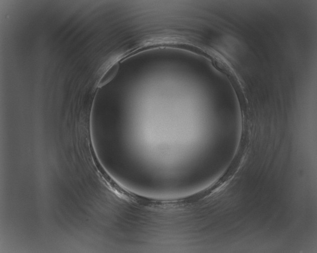 X0000052981337200507081112