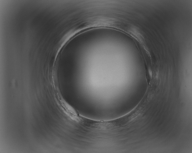 X0000052981340200507081113
