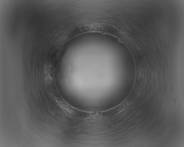 X0000052981346200507081112