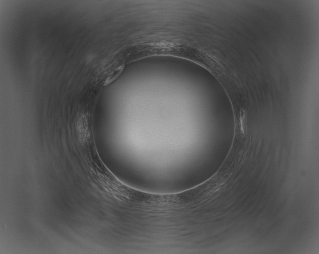 X0000052981347200507081112