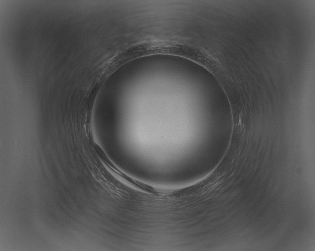 X0000052981348200507081112