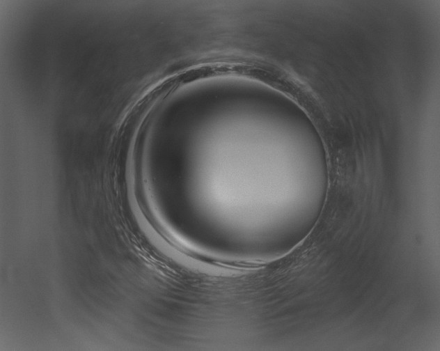 X0000052981352200507081112