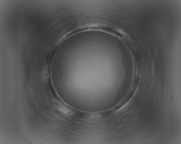 X0000052981353200507081112