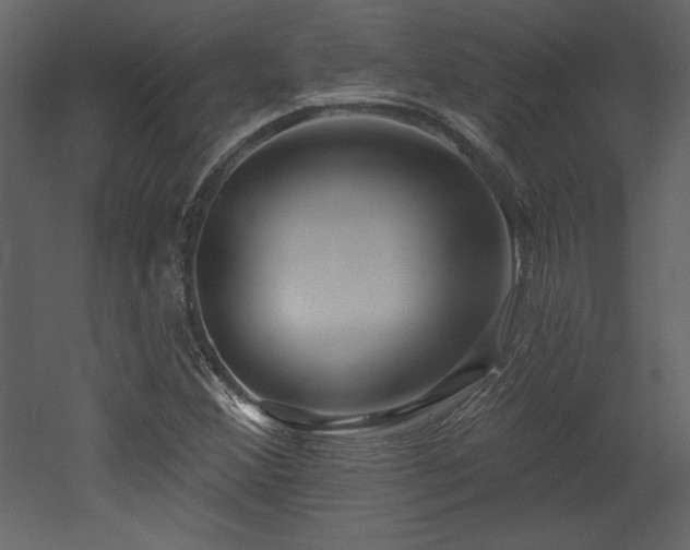 X0000052981356200507081112