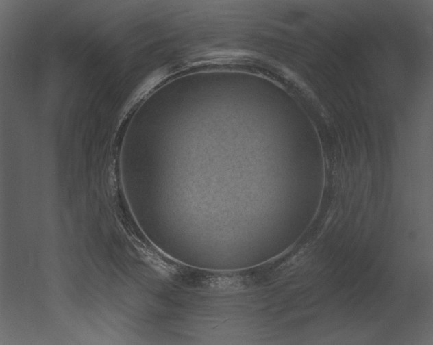X0000052981362200507081112