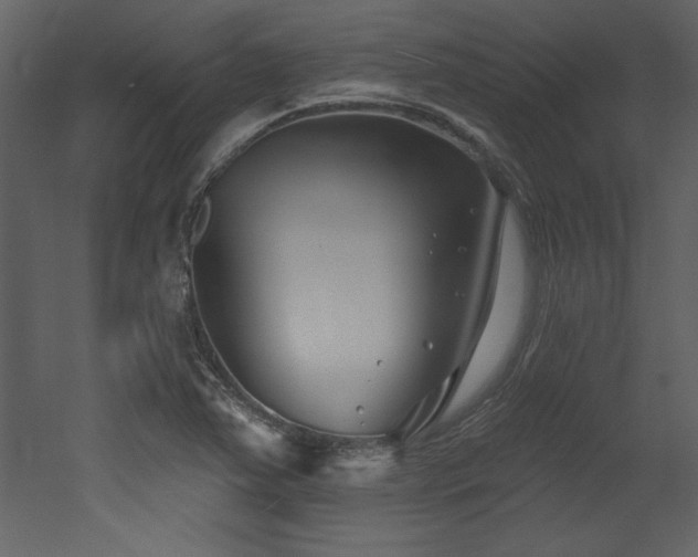 X0000052981363200507081111