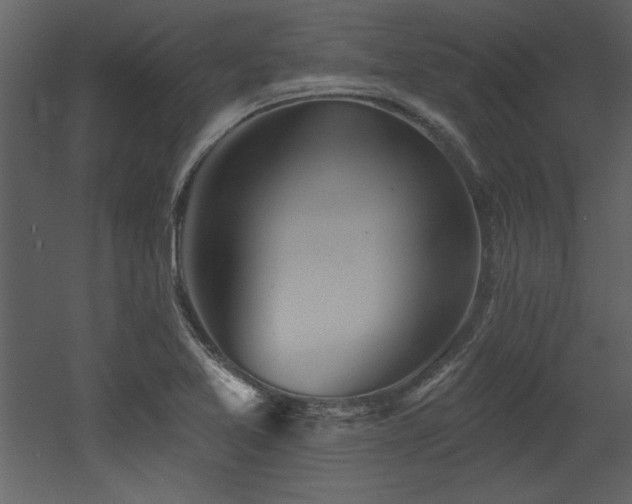 X0000052981365200507081111