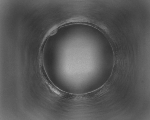 X0000052981366200507081111