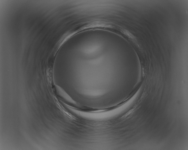 X0000052981369200507081111