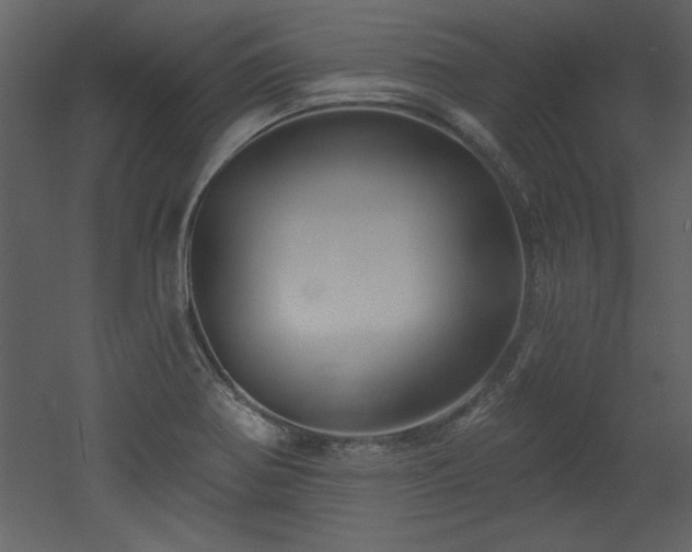 X0000052981370200507081111