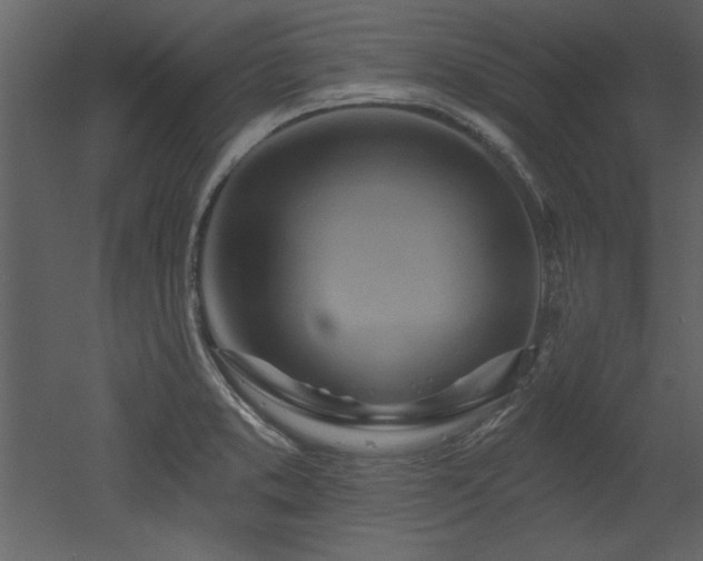X0000052981373200507081111