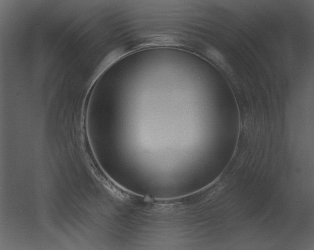 X0000052981378200507081111