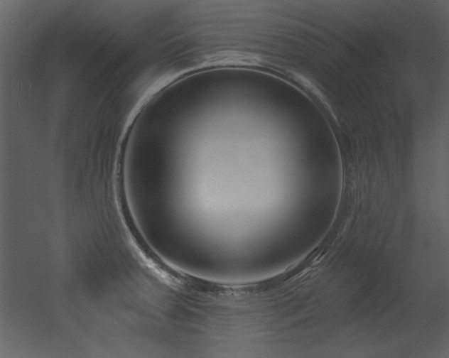 X0000052981379200507081111